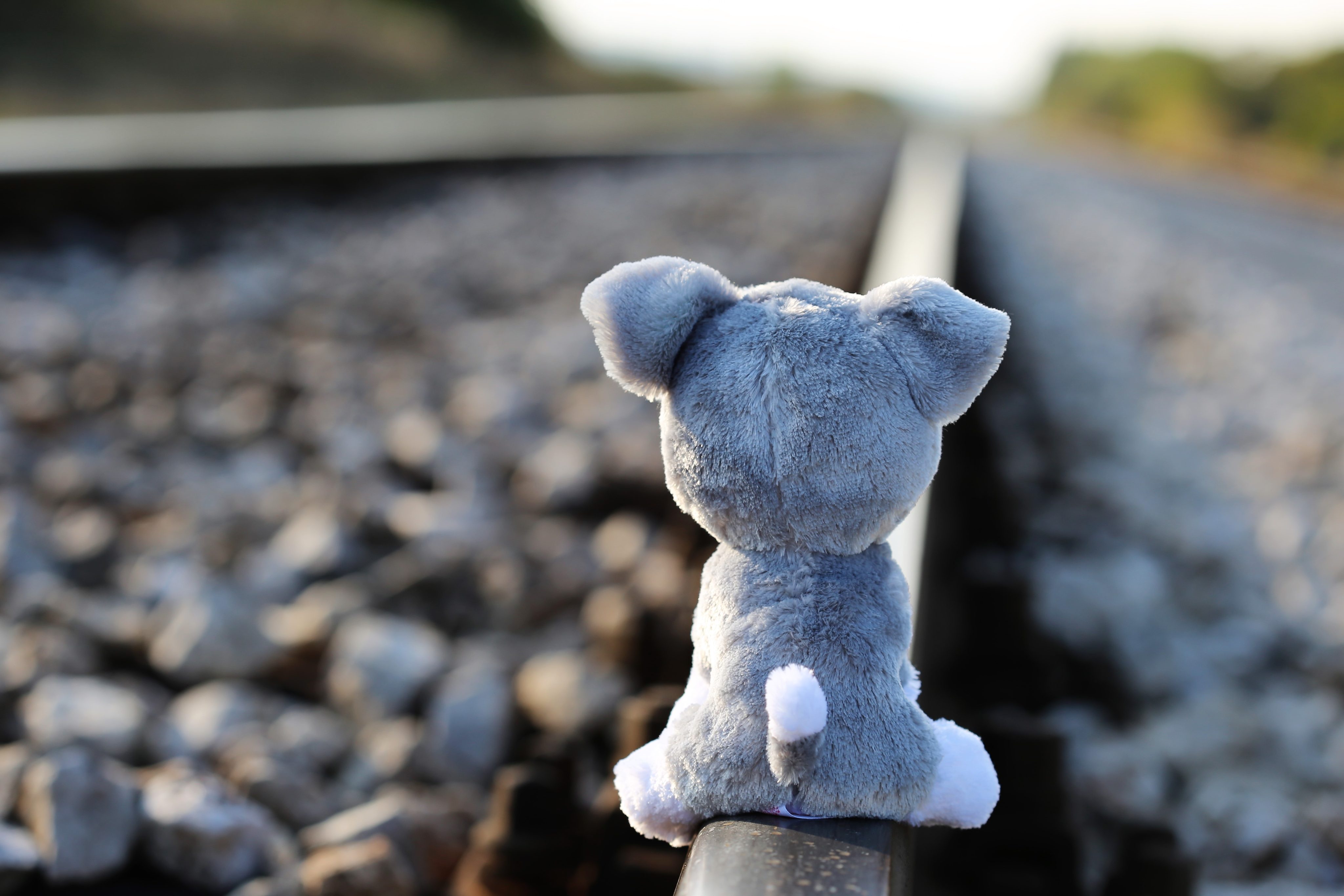 Unser erster Vor-Ort-Workshop – ein kreativer Vormittag voller Ideen